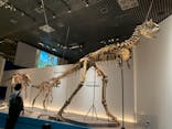 特別展「恐竜博2023」に投稿された画像（2023/5/26）