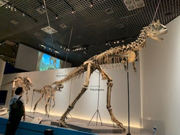 特別展「恐竜博2023」に投稿された画像（2023/5/26）