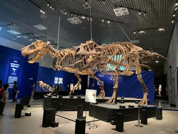 特別展「恐竜博2023」に投稿された画像（2023/5/26）