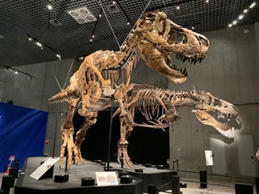 特別展「恐竜博2023」に投稿された画像（2023/5/26）