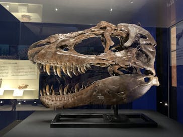 特別展「恐竜博2023」に投稿された画像（2023/5/26）