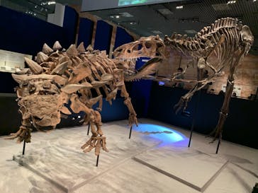 特別展「恐竜博2023」に投稿された画像（2023/5/26）