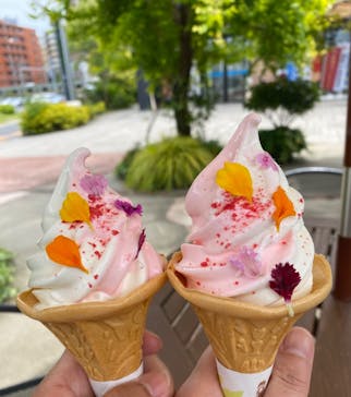 横浜イングリッシュガーデンに投稿された画像（2023/5/26）