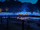 KYOTO ILLUMINATION SYNESTHESIA HILLS るり渓温泉に投稿された画像（2023/5/26）
