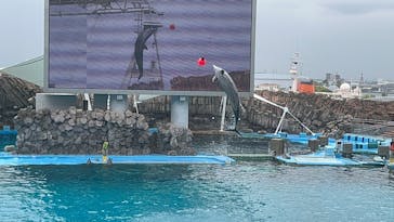 名古屋港水族館に投稿された画像（2023/5/26）