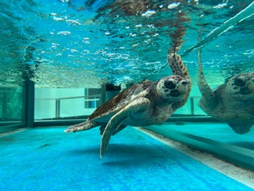 名古屋港水族館に投稿された画像（2023/5/26）