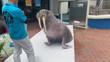 南知多ビーチランド＆南知多おもちゃ王国に投稿された画像（2023/5/26）