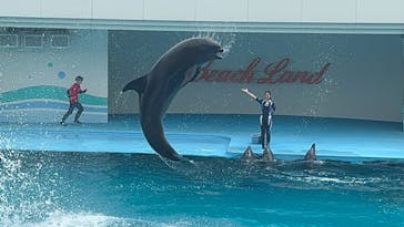 南知多ビーチランド＆南知多おもちゃ王国に投稿された画像（2023/5/26）