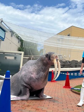 南知多ビーチランド＆南知多おもちゃ王国に投稿された画像（2023/5/26）