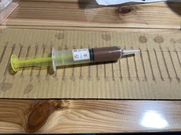 体験工房　寺スペースに投稿された画像（2023/5/26）