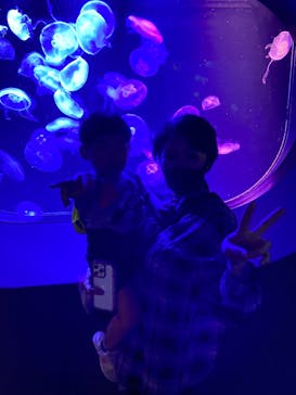 マリンワールド海の中道に投稿された画像（2023/5/26）