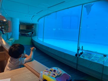 マリンワールド海の中道に投稿された画像（2023/5/26）