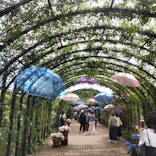 横浜イングリッシュガーデンに投稿された画像（2023/5/27）