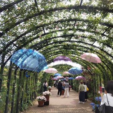 横浜イングリッシュガーデンに投稿された画像（2023/5/26）