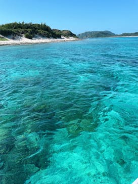 ピースに投稿された画像（2023/5/26）