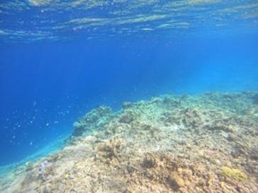 ピースに投稿された画像（2023/5/26）