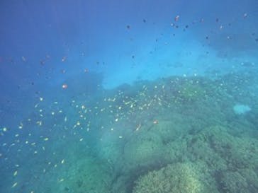 ピースに投稿された画像（2023/5/26）