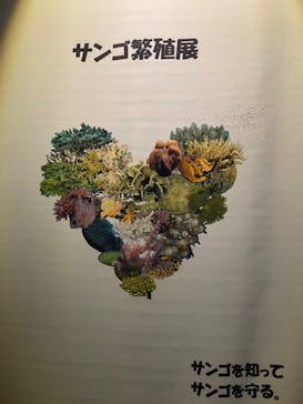 沖縄美ら海水族館に投稿された画像（2023/5/27）