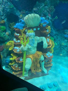 レゴランドⓇ・ジャパン・リゾートに投稿された画像（2023/5/27）