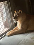 天王寺動物園に投稿された画像（2023/5/27）