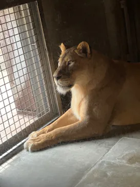 天王寺動物園に投稿された画像（2023/5/27）