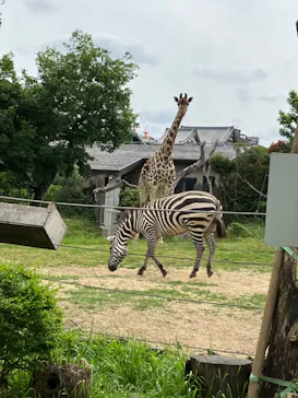 天王寺動物園に投稿された画像（2023/5/27）