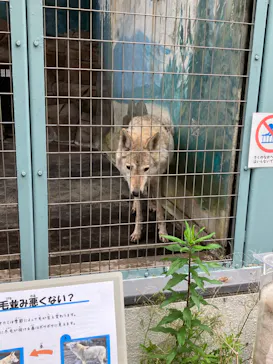 天王寺動物園に投稿された画像（2023/5/27）