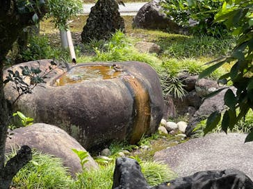 元離宮二条城に投稿された画像（2023/5/27）