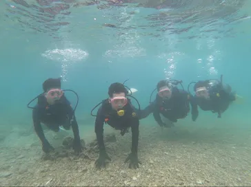 武藤潜水に投稿された画像（2023/5/27）