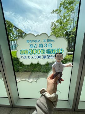 ハルカス300(展望台)に投稿された画像（2023/5/27）