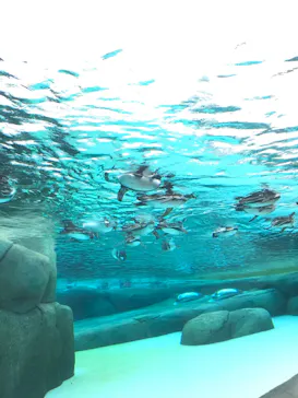 天王寺動物園に投稿された画像（2023/5/27）