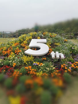 NESTA RESORT KOBE（ネスタリゾート神戸）に投稿された画像（2023/5/27）