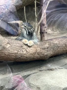 神戸どうぶつ王国に投稿された画像（2023/5/27）