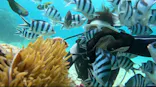 名古屋港水族館に投稿された画像（2023/5/27）