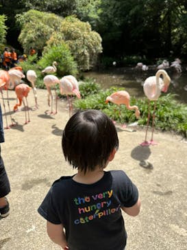 長崎バイオパークに投稿された画像（2023/5/27）