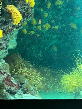 環境水族館アクアマリンふくしまに投稿された画像（2023/5/27）