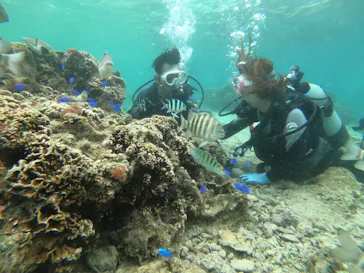 武藤潜水に投稿された画像（2023/5/27）