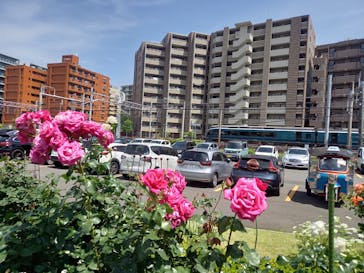 横浜イングリッシュガーデンに投稿された画像（2023/5/27）