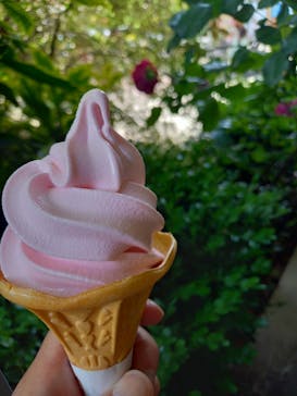 横浜イングリッシュガーデンに投稿された画像（2023/5/27）