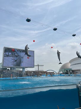 名古屋港水族館に投稿された画像（2023/5/27）