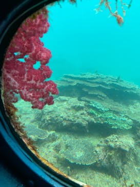串本海中公園水族館に投稿された画像（2023/5/27）