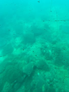 串本海中公園水族館に投稿された画像（2023/5/27）