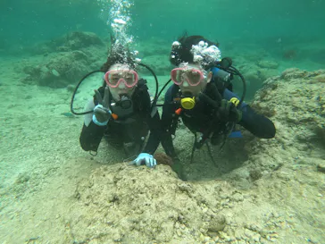 武藤潜水に投稿された画像（2023/5/27）