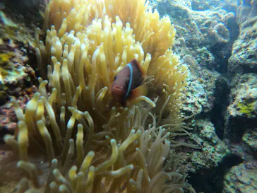 武藤潜水に投稿された画像（2023/5/27）