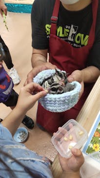 いきもの探検隊上尾に投稿された画像（2023/5/27）