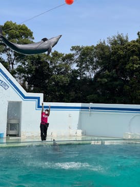 しながわ水族館に投稿された画像（2023/5/27）