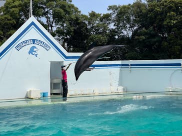 しながわ水族館に投稿された画像（2023/5/27）