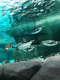 天王寺動物園に投稿された画像（2023/5/27）