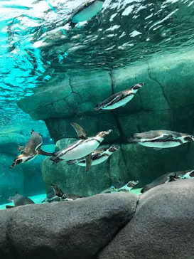 天王寺動物園に投稿された画像（2023/5/27）