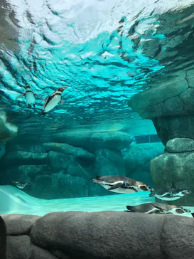 天王寺動物園に投稿された画像（2023/5/27）